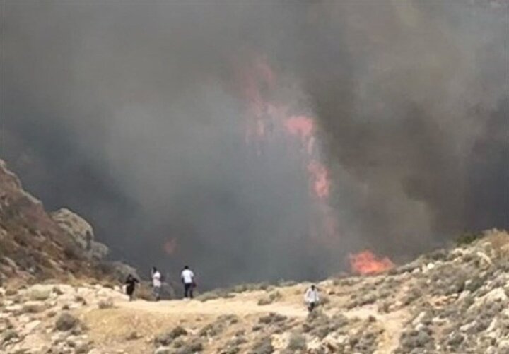 آتش سوزی گسترده در چند نقطه از فلسطین اشغالی