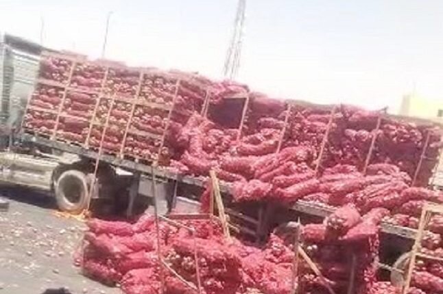 Saudi regime causes unprecedented disaster for Yemeni agricultural products