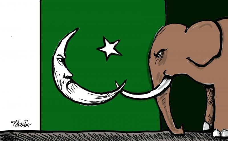 كاريكاتير / التصعيد بين الهند وباكستان كاريكاتير / التصعيد بين الهند وباكستان