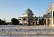 تقرير مصور / باحات المسجد الأقصى المبارك صباح اليوم