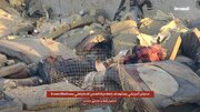 ABŞ işğalçı ünsürlərin Yəmənə qanlı hücumu: Uşaqlar və mülki şəxslər hədəfdədir!