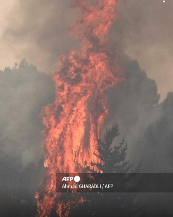 مشاهد تظهر استمرار الحرائق في غابات القدس وهروب المستوطنين