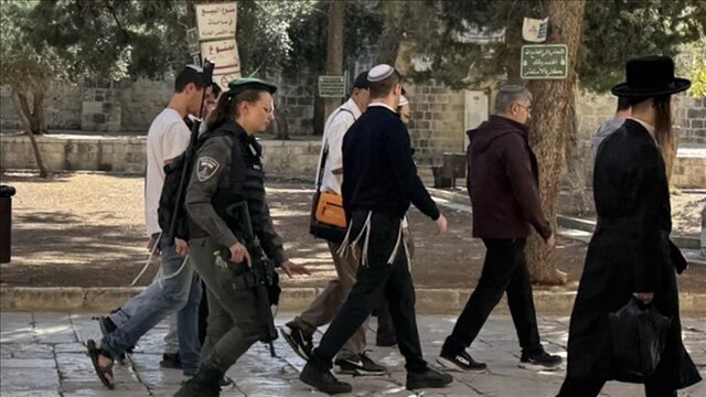 ورود غیرقانونی صدها شهرک‌نشین صهیونیست به مسجد الاقصی