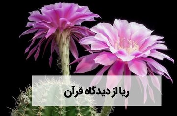 نقابِ تقوا: ریاکاران در آینه قرآن چگونه‌اند؟