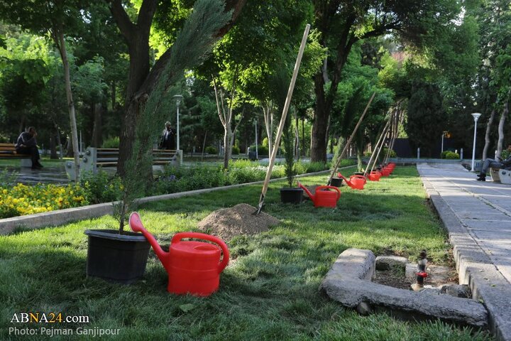 کاشت درخت صلح در اصفهان