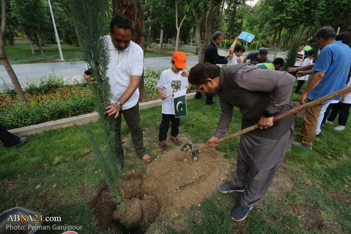 کاشت درخت صلح در اصفهان