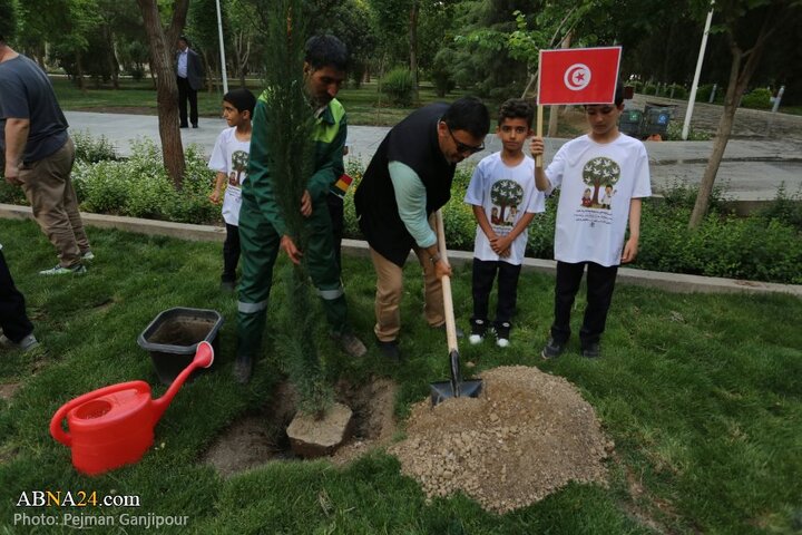 کاشت درخت صلح در اصفهان