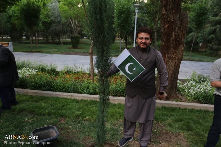 کاشت درخت صلح در اصفهان