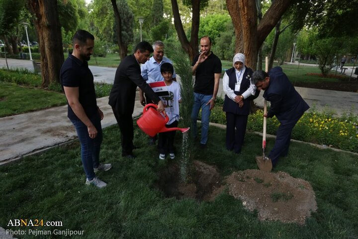 کاشت درخت صلح در اصفهان