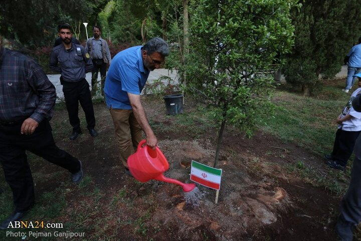 کاشت درخت صلح در اصفهان