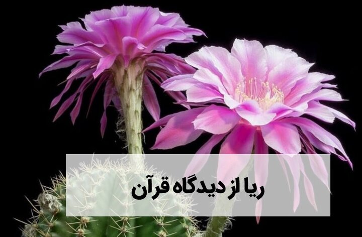 نقابِ تقوا: ریاکاران در آینه قرآن چگونه‌اند؟
