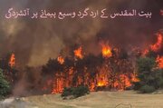 ویڈیو | مقبوضہ بیت المقدس کی پہاڑیوں میں آتشزدگی کے وسیع نقصانات