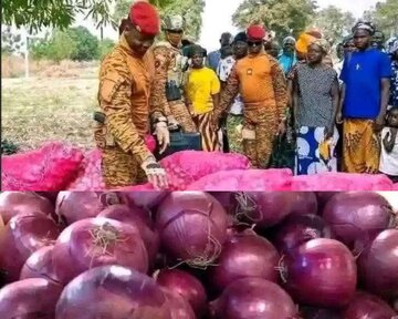 Mwanamume Shujaa Kazini | Burkina Faso Yavunja Rekodi Katika Uzalishaji wa Vitunguu!