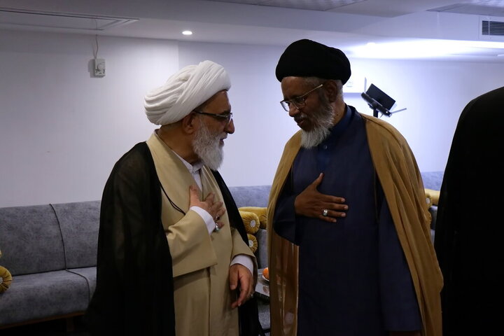 دیدار میهمانان همایش بین‌المللی یکصدمین سال حوزه با آیت‌الله شب‌زنده‌دار