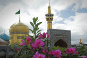الإمام  الرضا (ع) ينبوع العلم ووارث علوم أهل البيت (ع)