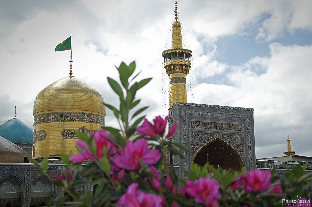 الإمام  الرضا (ع) ينبوع العلم ووارث علوم أهل البيت (ع)