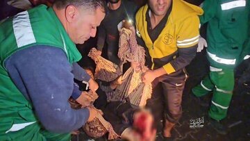 Il numero dei martiri di Gaza raggiunge 52.787 e i feriti 119.349