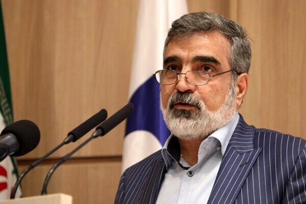 معاون سازمان انرژی اتمی: ایران تنها کشور غنی‌سازی‌کننده بدون سلاح هسته‌ای نیست /  کشورهای دیگری نیز غنی‌سازی می‌کنند و سلاح هسته‌ای ندارند