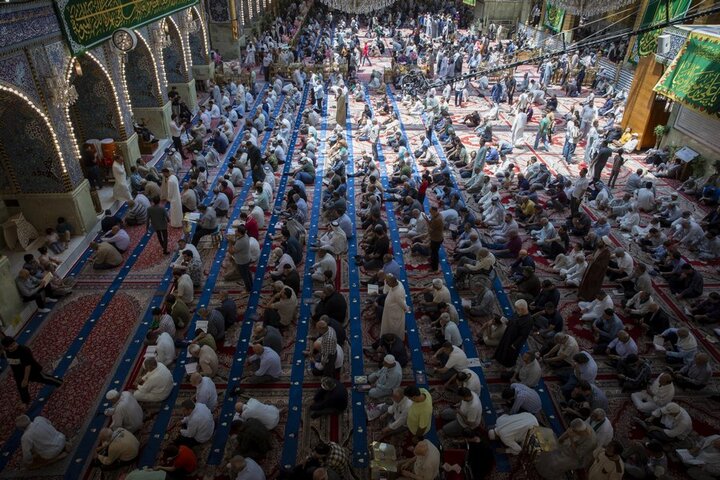 تقديم محاضرة بذكرى ولادة الإمام الرضا (عليه السلام)