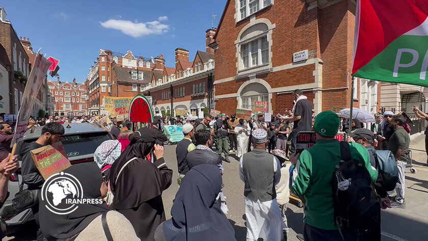 Activists rally at Egyptian Embassy in London, urging global intervention for Gaza