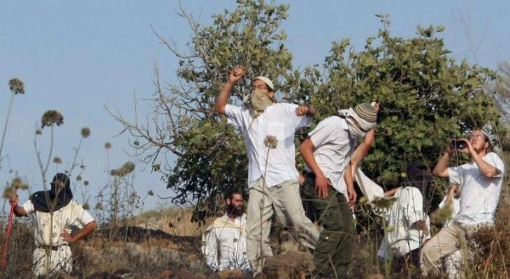 Extremist Jewish settlers and Israeli forces attack Palestinians across West Bank