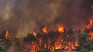 Israel kembali Dilumat Api, Kali Ini Menyebar ke Ashdod