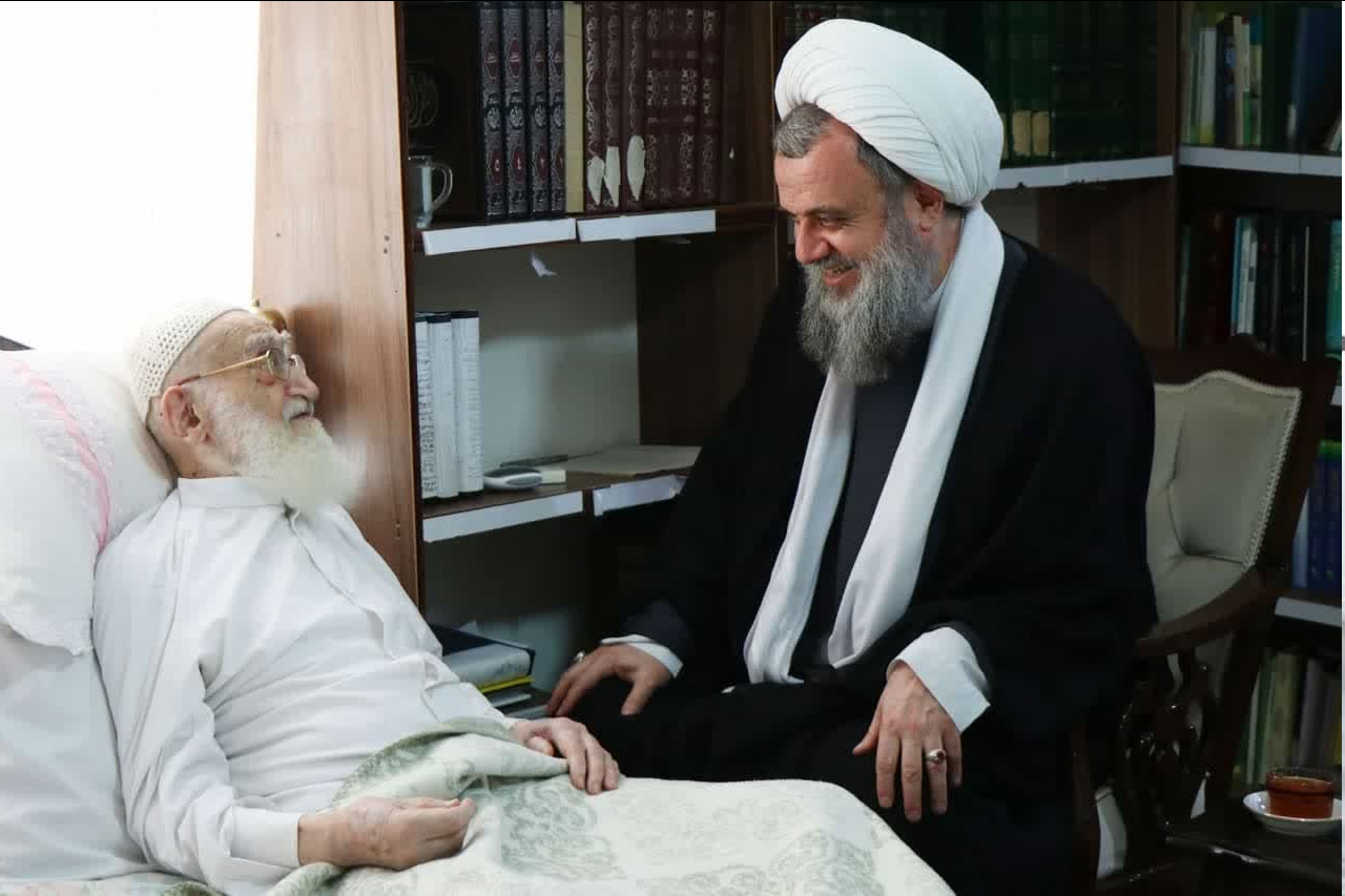 عیادت عضو شورای عالی مجمع جهانی اهل بیت(ع) از آیتالله نوری همدانی + عکس