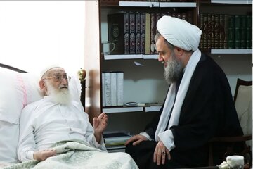 عیادت عضو شورای عالی مجمع جهانی اهل بیت(ع) از آیت‌الله نوری‌ همدانی + عکس