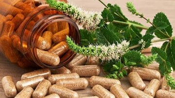 Produzione di medicina erboristica iraniana per il trattamento della prostata