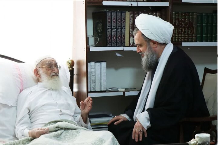 عیادت عضو شورای عالی مجمع جهانی اهل بیت(ع) از آیت‌الله نوری‌ همدانی + عکس