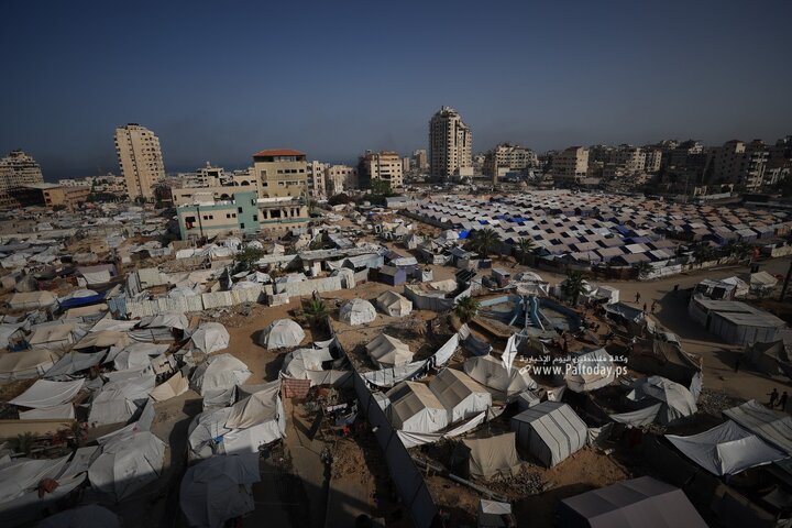 تقرير مصور| جولة في قلب مدينة غزة