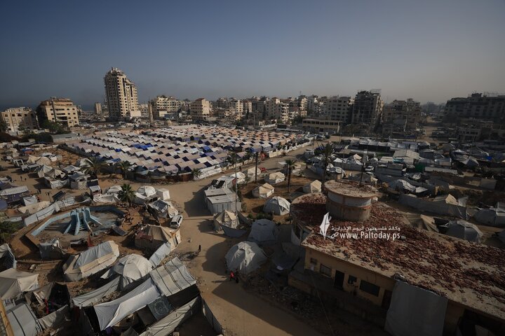 تقرير مصور| جولة في قلب مدينة غزة