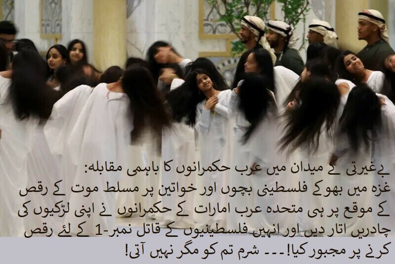 تصویری خبر | غزہ کو بھوک نگل رہی ہے، خلیج فارس کے عرب ٹرمپ پر اربوں ڈالر نچھاور کر رہے ہیں