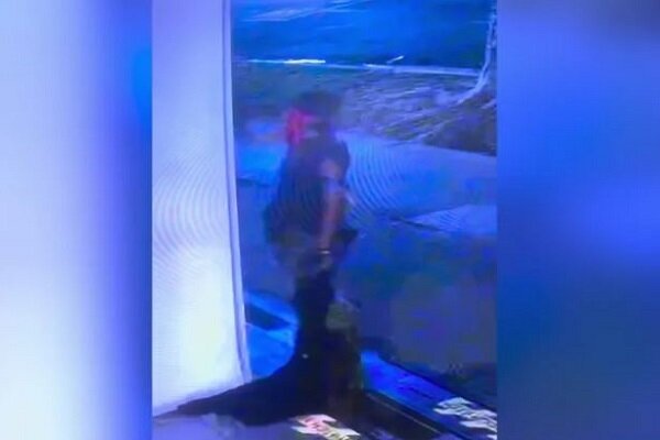 Los Angeles mosque targeted in suspected hate crime