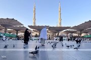 Informe fotográfico | Peregrinos visitan la Mezquita del Profeta Muhammad (la paz sea con él) antes del Hayy 2025