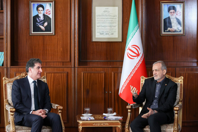 Iranians view Iraqi Kurdish people as brothers: Pres. Pezeshkian