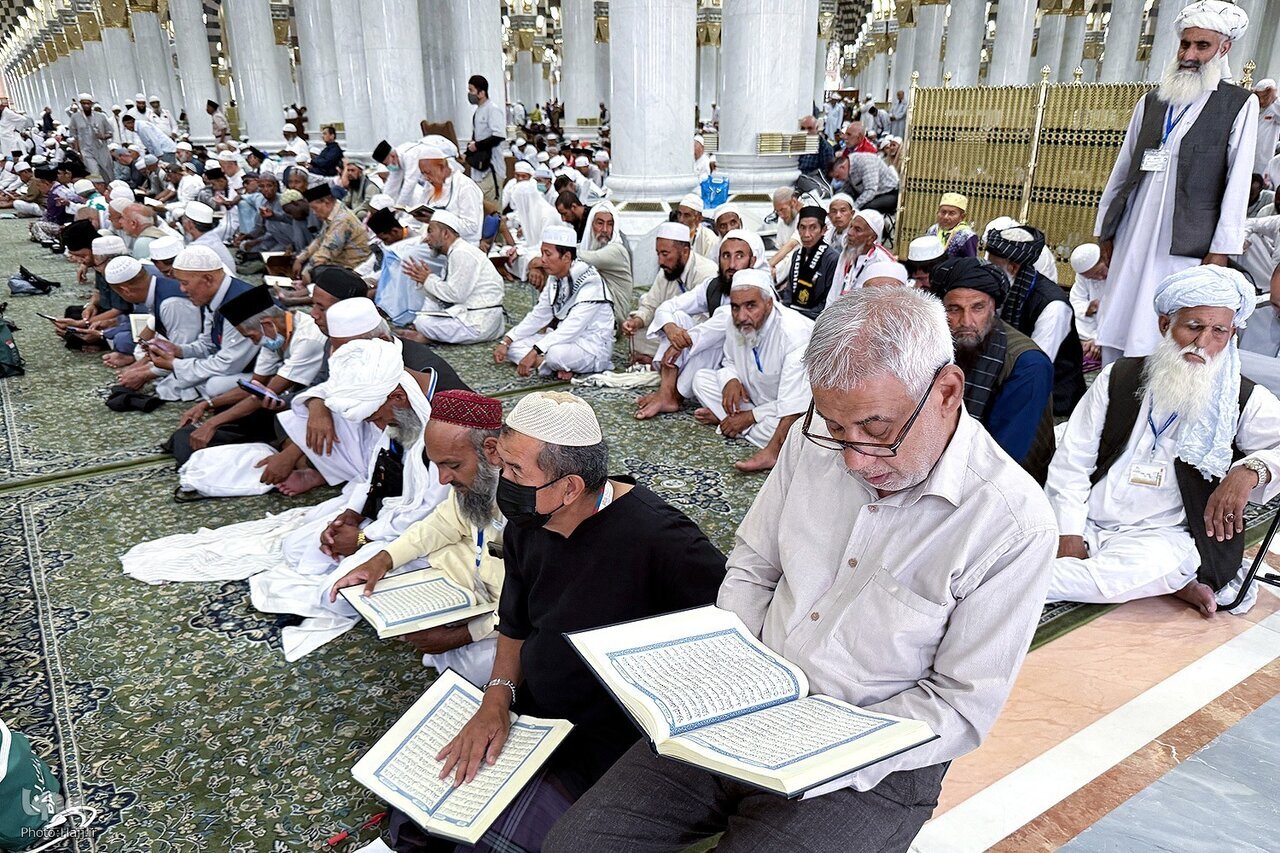 الحجاج يستفيدون: تجربة ١٢٧ ألف زائر بمراكز الخدمة الشاملة بالمسجد النبوي - الاقتراحات للمستقبل