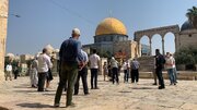 Asalto de colonos a la Mezquita Al-Aqsa