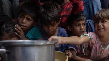 L’OMS tire la sonnette d’alarme : Deux millions de Gazaouis, affamés, frôlent la mort