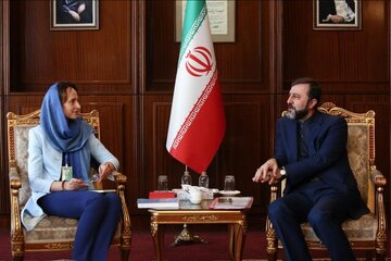 معاون حقوقی وزارت خارجه: تحریم‌های یکجانبه ناقض حقوق بشر هستند/ تحریم‌ها و حقوق بشر؛ گفتگوهای مهم در تهران