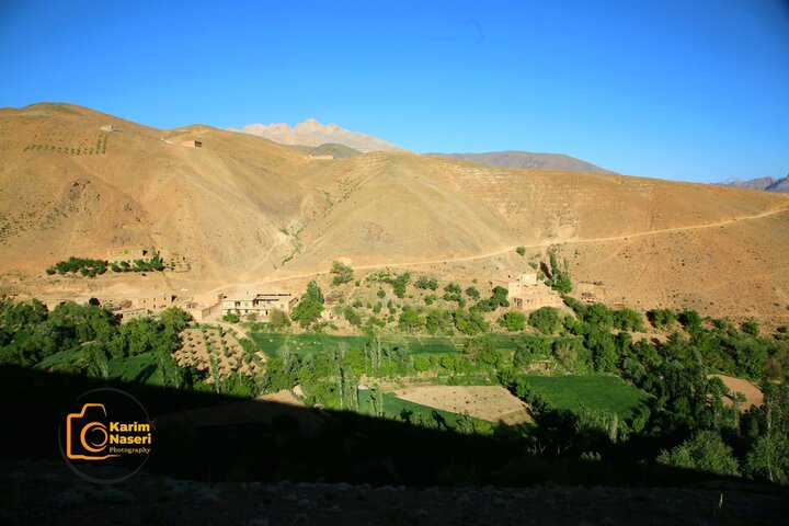 دایکندی