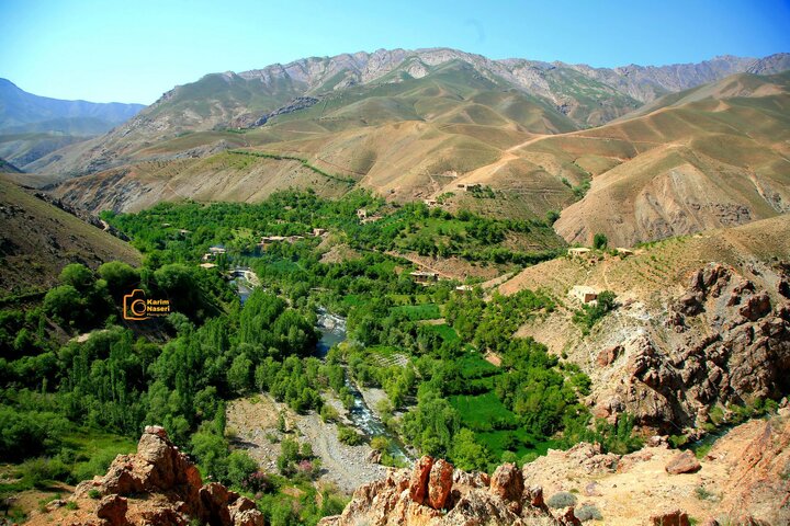 دایکندی