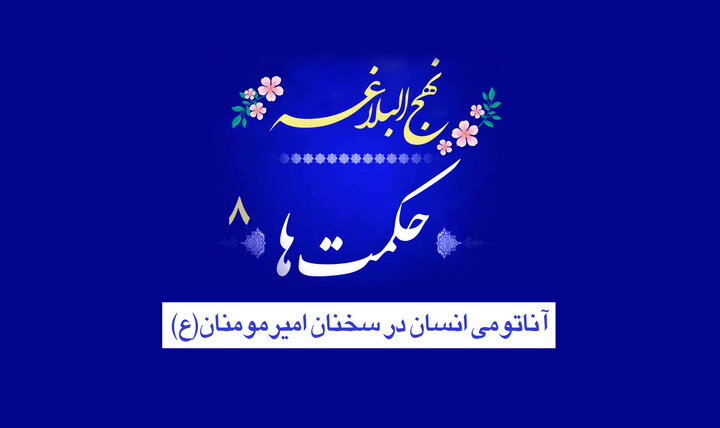 حکمت‌های نهج‌البلاغه ۸/ آناتومی انسان در سخنان امیرمومنان(ع)