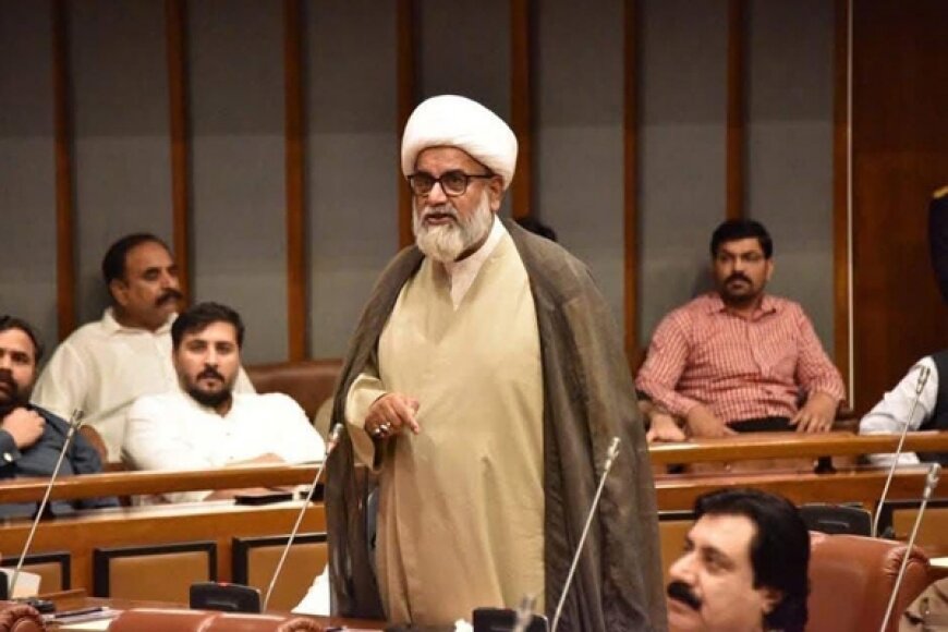 Pakistani senator: we must know America and Israel are not friend 