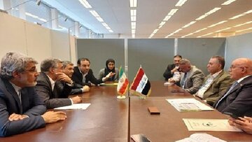 تشکیل کمیته مشترک بهداشت و درمان ایران و عراق در ایام اربعین