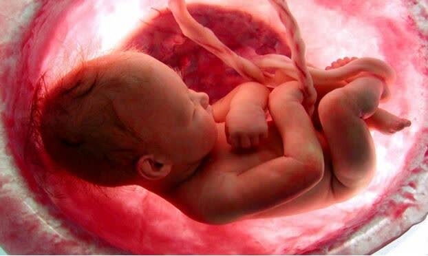 رحم های نامهربان؛ «نگاه دینی به سقط جنین»