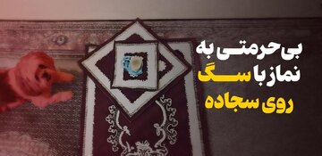 عبادت یا بی‌حرمتی؟ وقتی سگ قبله‌نما می‌شود