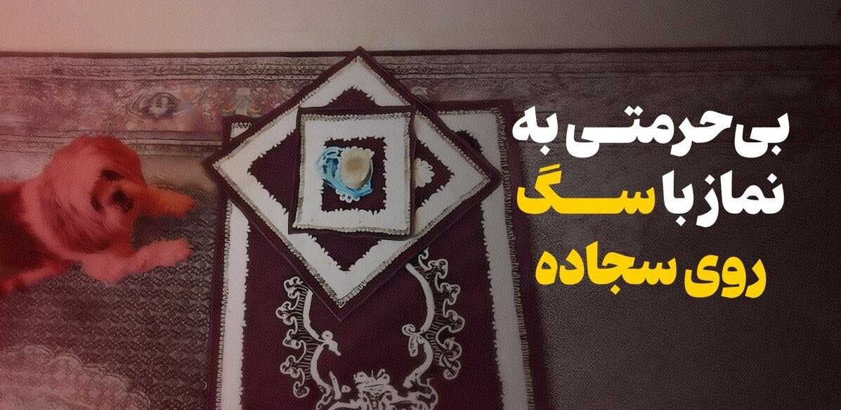 عبادت یا بی‌حرمتی؟ وقتی سگ قبله‌نما می‌شود