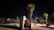تقرير مصور / باحات المسجد الأقصى المبارك فجر اليوم