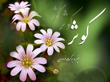 فضائل حضرت زهرا (س)؛ قطره‌ای از دریای بی‌کران معرفت